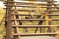 USACAPOC (A) Best Warrior Competition 2021