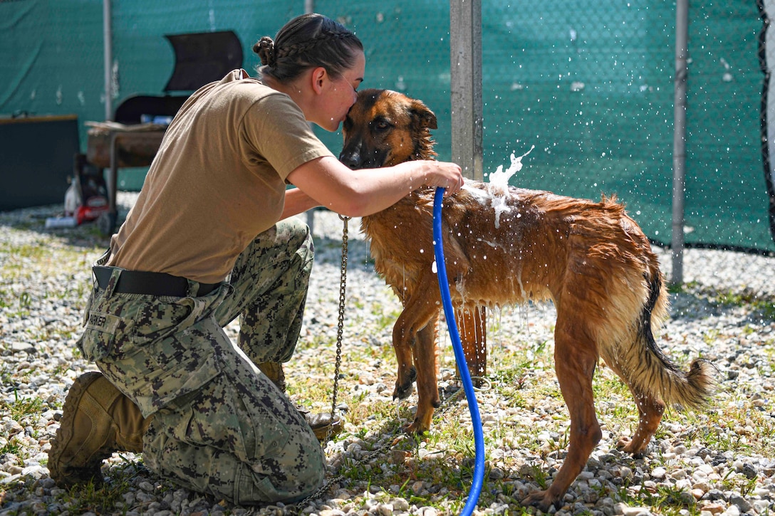A sailor kneels on the ground while pouring water onto dog with a water hose.