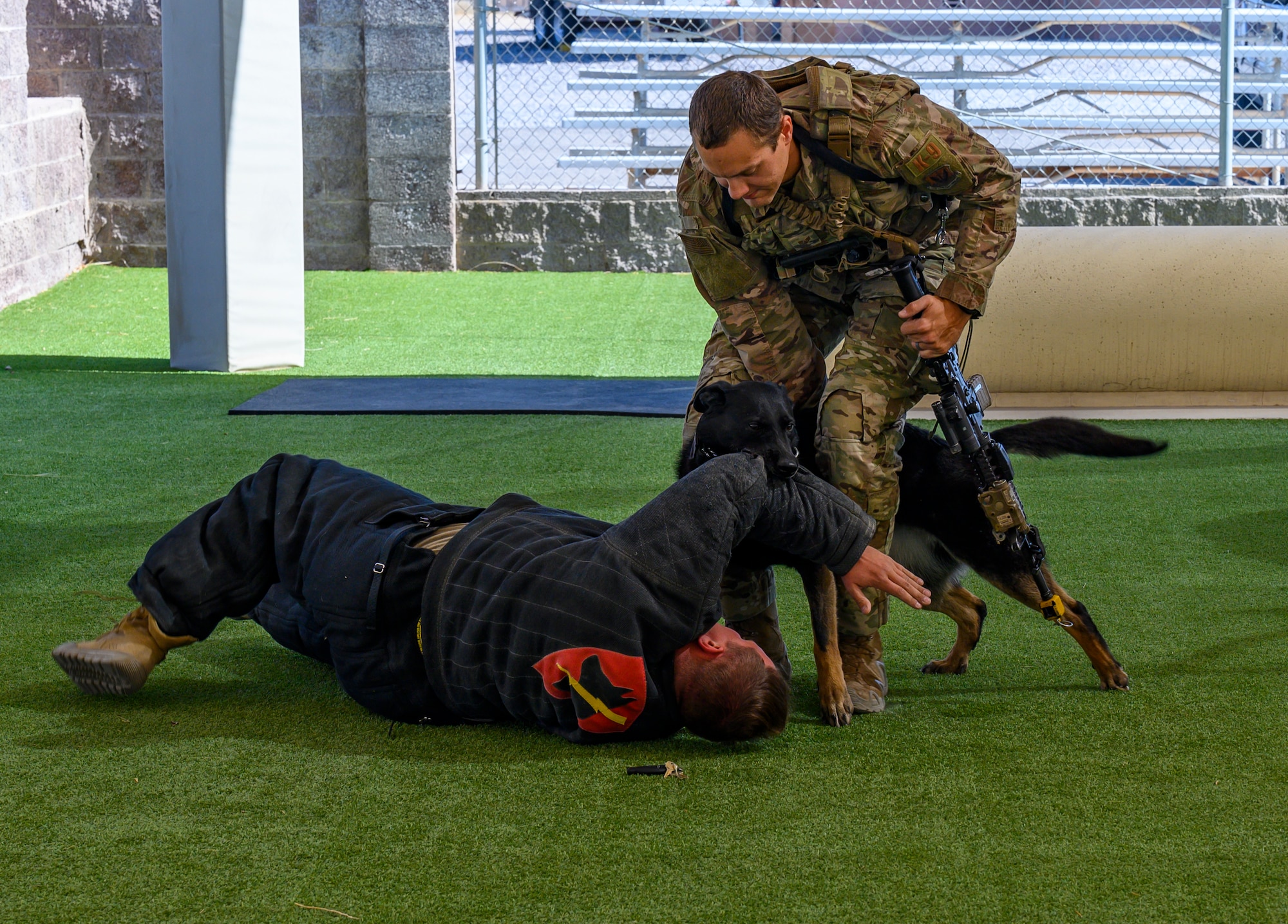 Dog bites Airman during training exercise.
