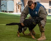 Dog bites Airman in training exercise.