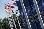 Nato and flags
