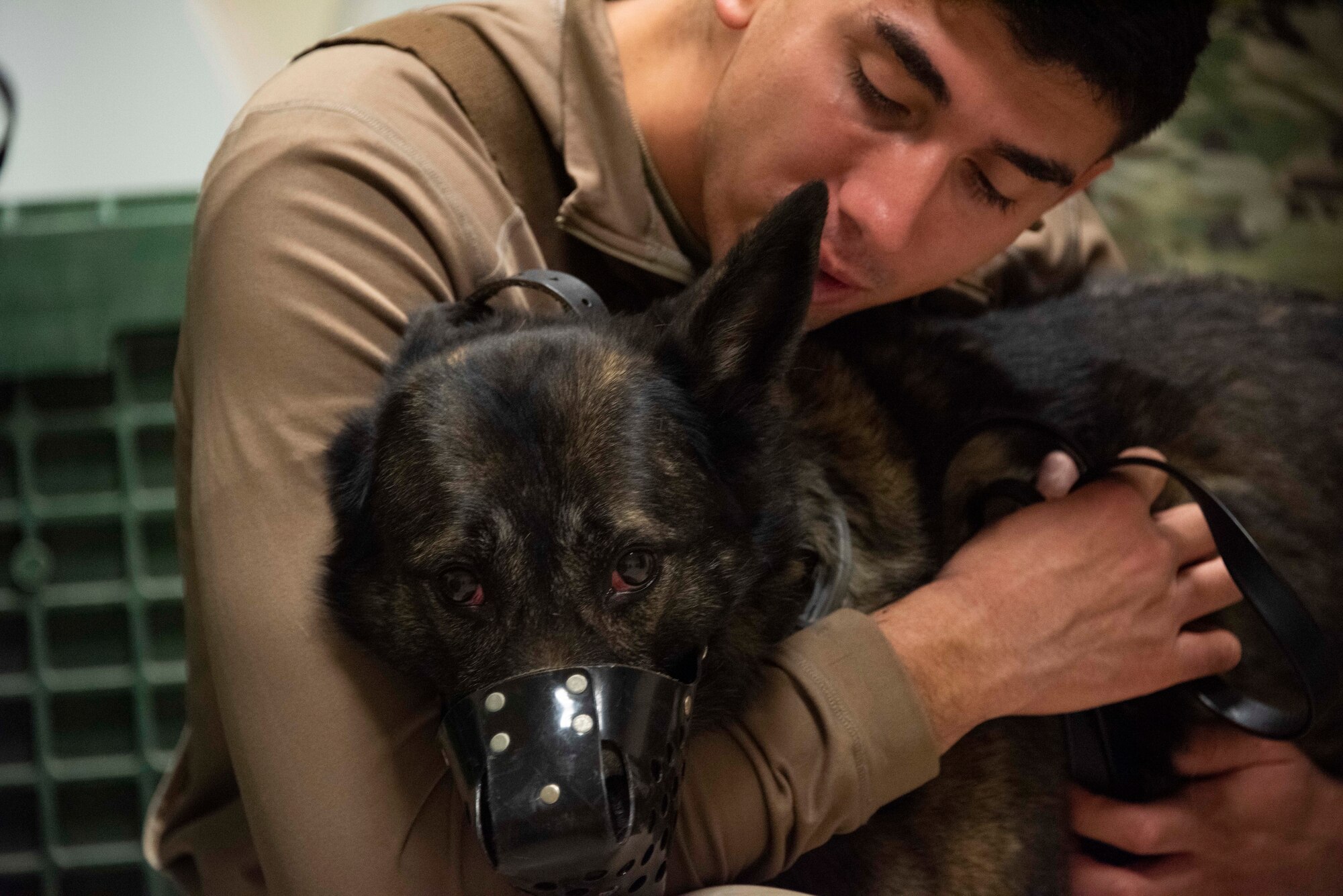 A U.S. Airman hugs a muzzled military working dog