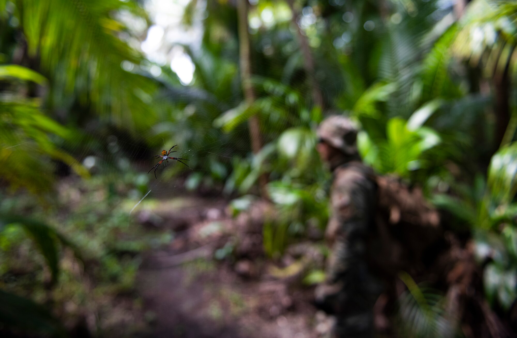 Jungle Patrol