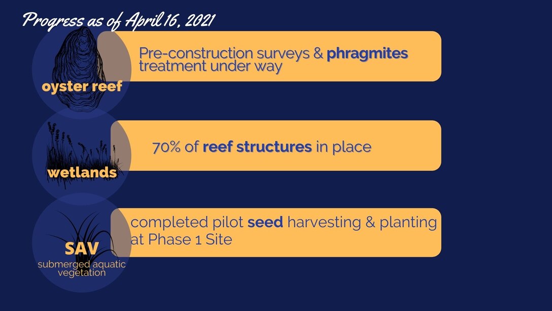 Lynnhaven ecosystem project weekly update slide -