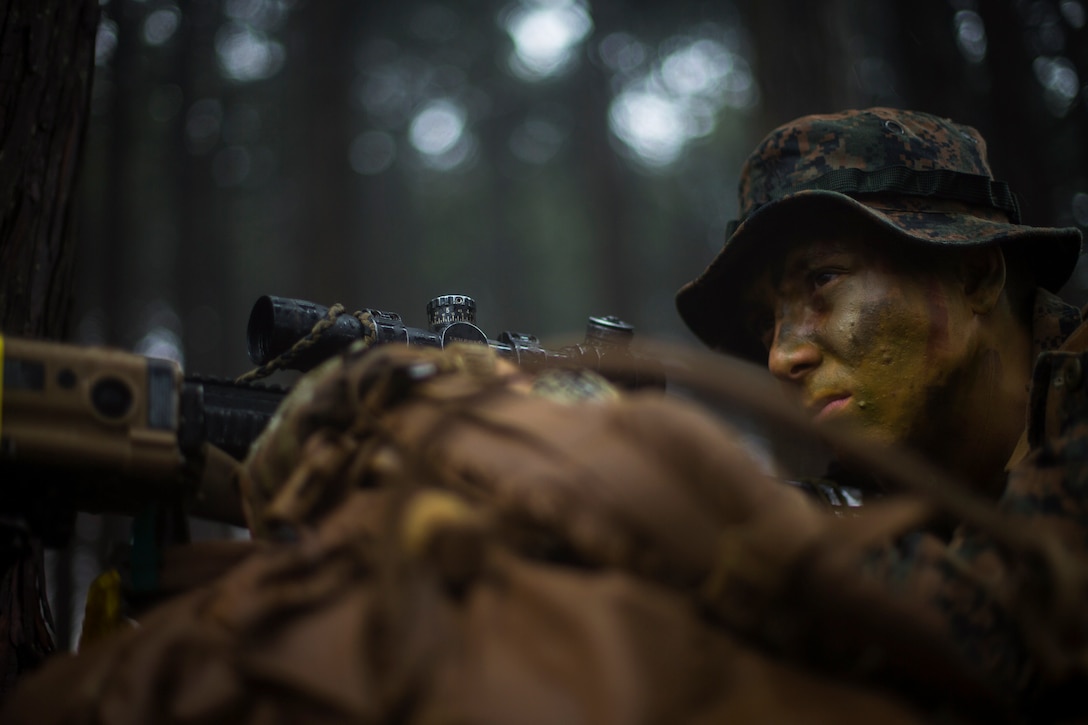 A Marine in camouflage aims a weapon while lying on the ground in the woods.
