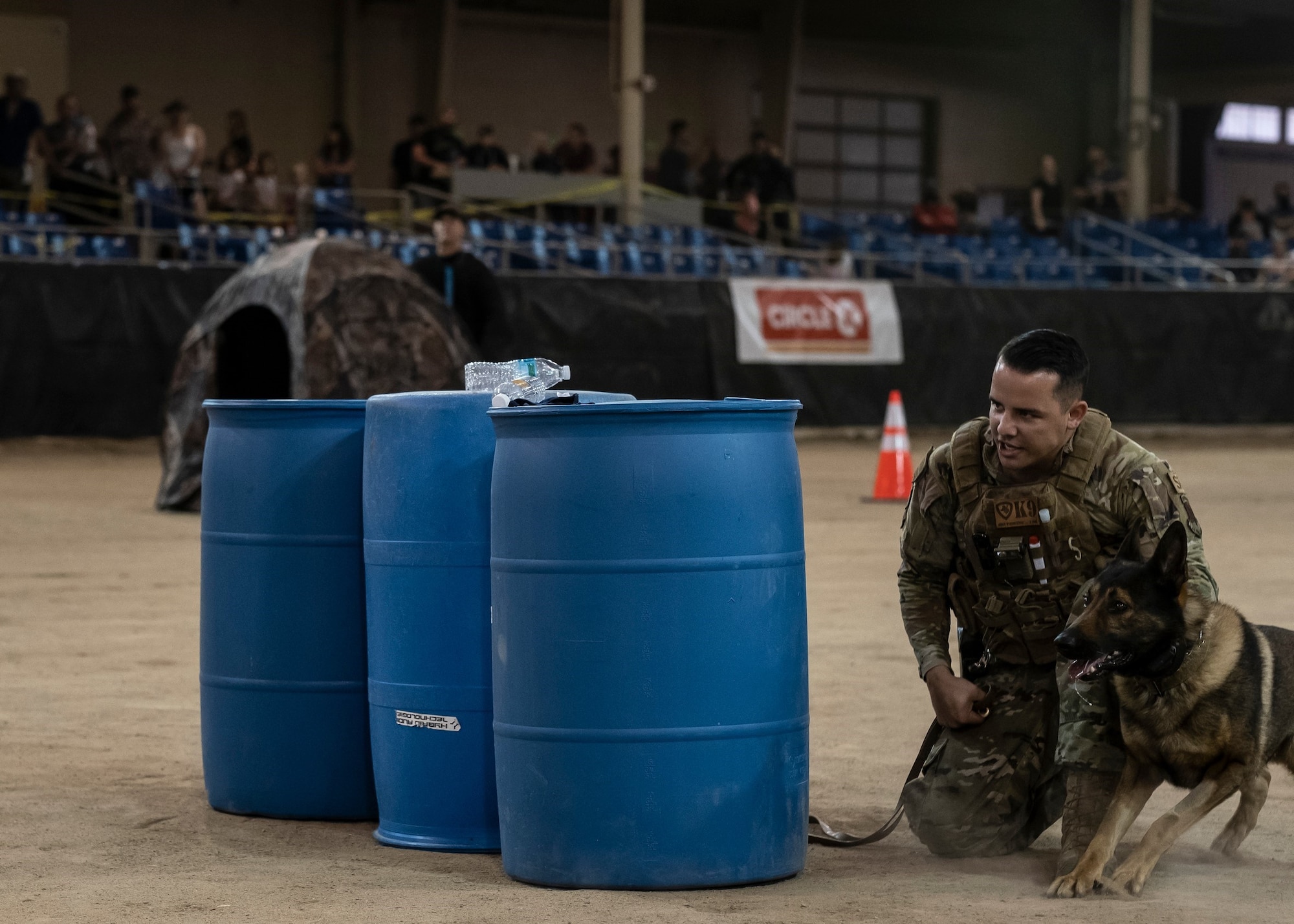 A picture of an Airmen and a military working dog.