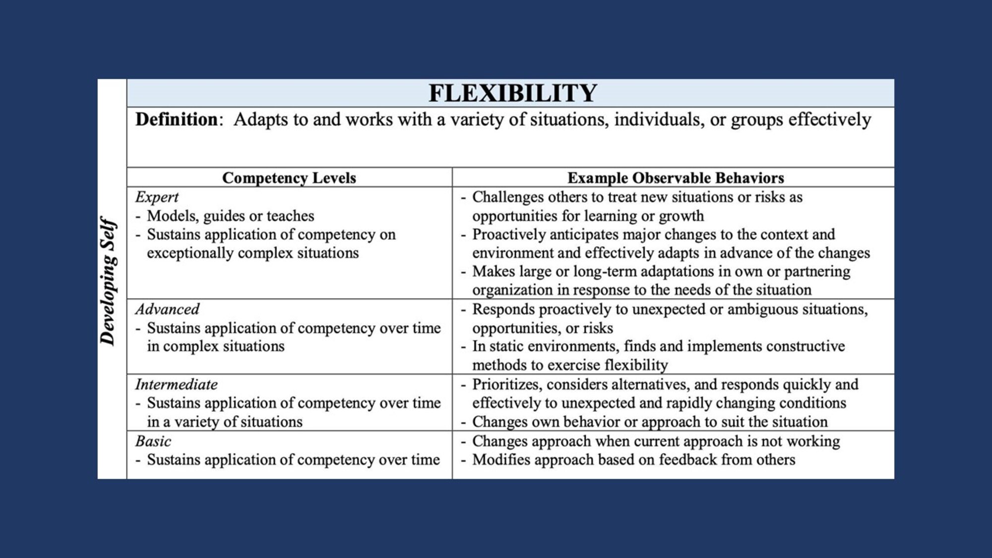 Graphic showing competencies that fall under developing self, which include accountability, perseverance, communication, decision making, information seeking, flexibility, resilience, initiative, and self-control.