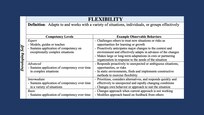 Graphic showing competencies that fall under developing self, which include accountability, perseverance, communication, decision making, information seeking, flexibility, resilience, initiative, and self-control.
