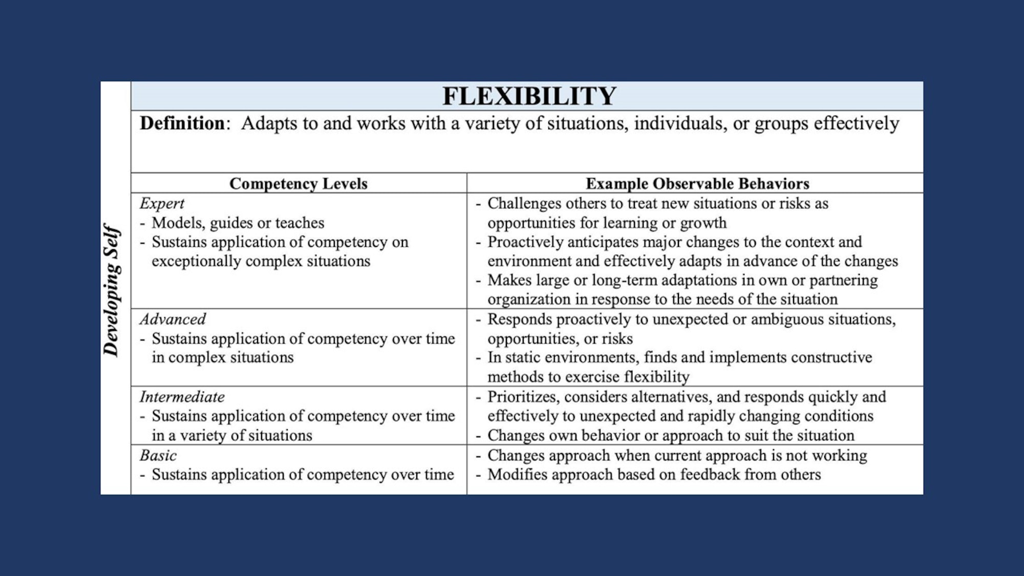 Graphic showing competencies that fall under developing self, which include accountability, perseverance, communication, decision making, information seeking, flexibility, resilience, initiative, and self-control.