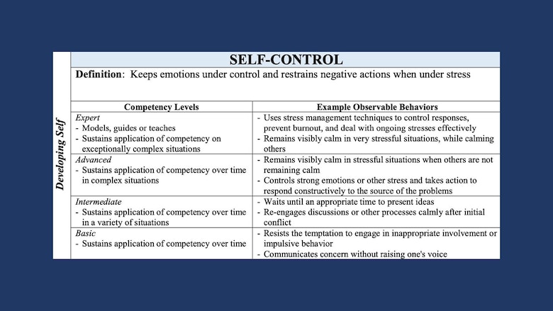 Graphic showing competencies that fall under developing self, which include accountability, perseverance, communication, decision making, information seeking, flexibility, resilience, initiative, and self-control.