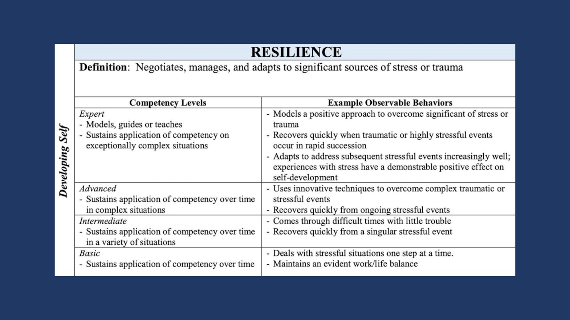 Graphic showing competencies that fall under developing self, which include accountability, perseverance, communication, decision making, information seeking, flexibility, resilience, initiative, and self-control.