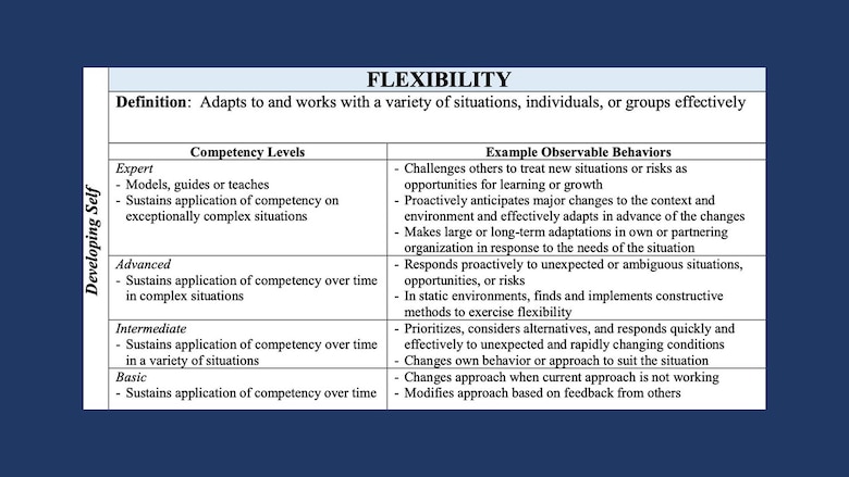 Graphic showing competencies that fall under developing self, which include accountability, perseverance, communication, decision making, information seeking, flexibility, resilience, initiative, and self-control.