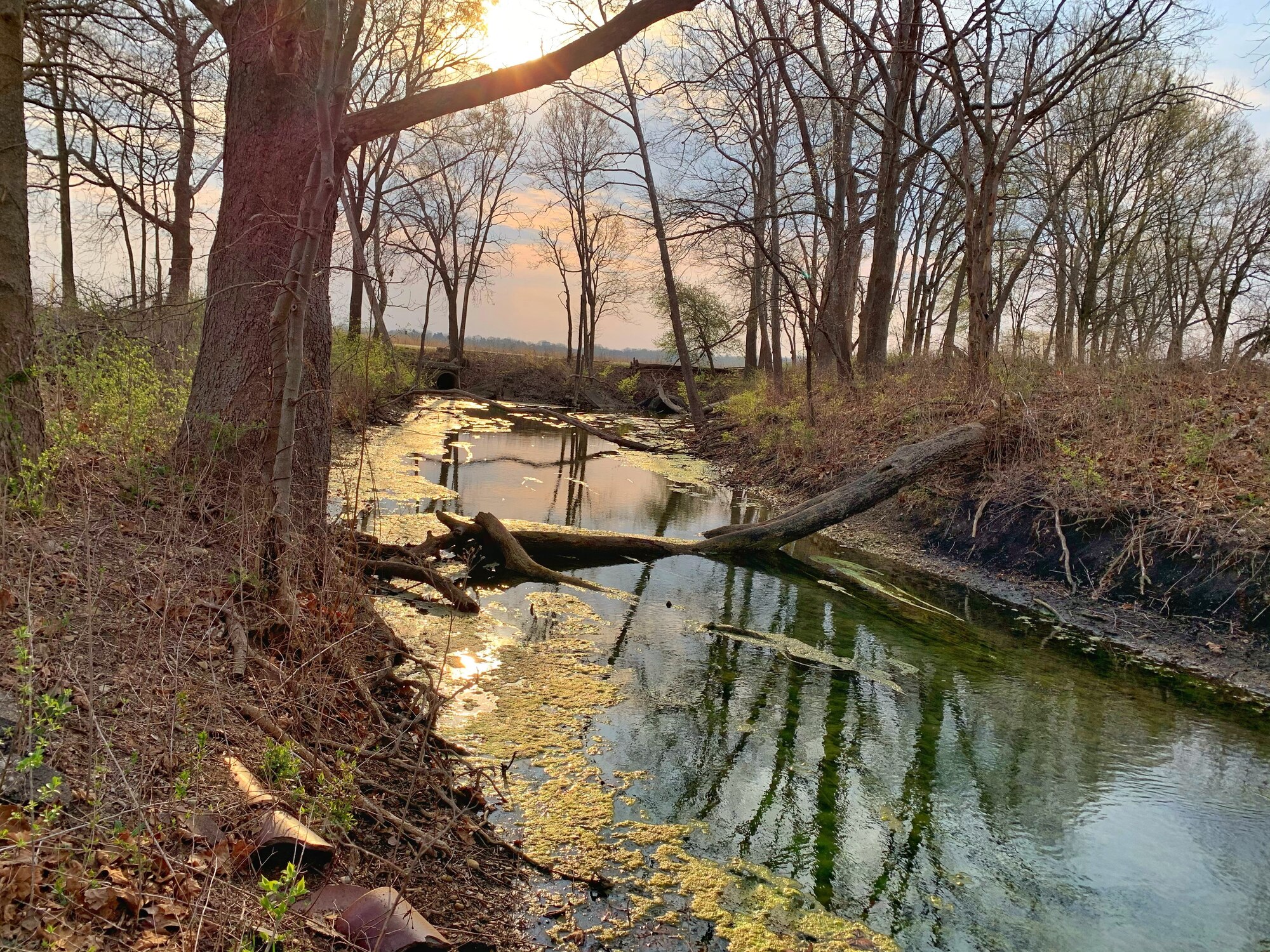 Evening sunlight falls on Trout Creek at Wright-Patterson Air Force Base on April 8. The 88th Civil Engineer Group’s Environmental Management Branch planted native seedlings around the creek for Earth Day in efforts to foster pollinators. (Photo by Danielle Trevino)