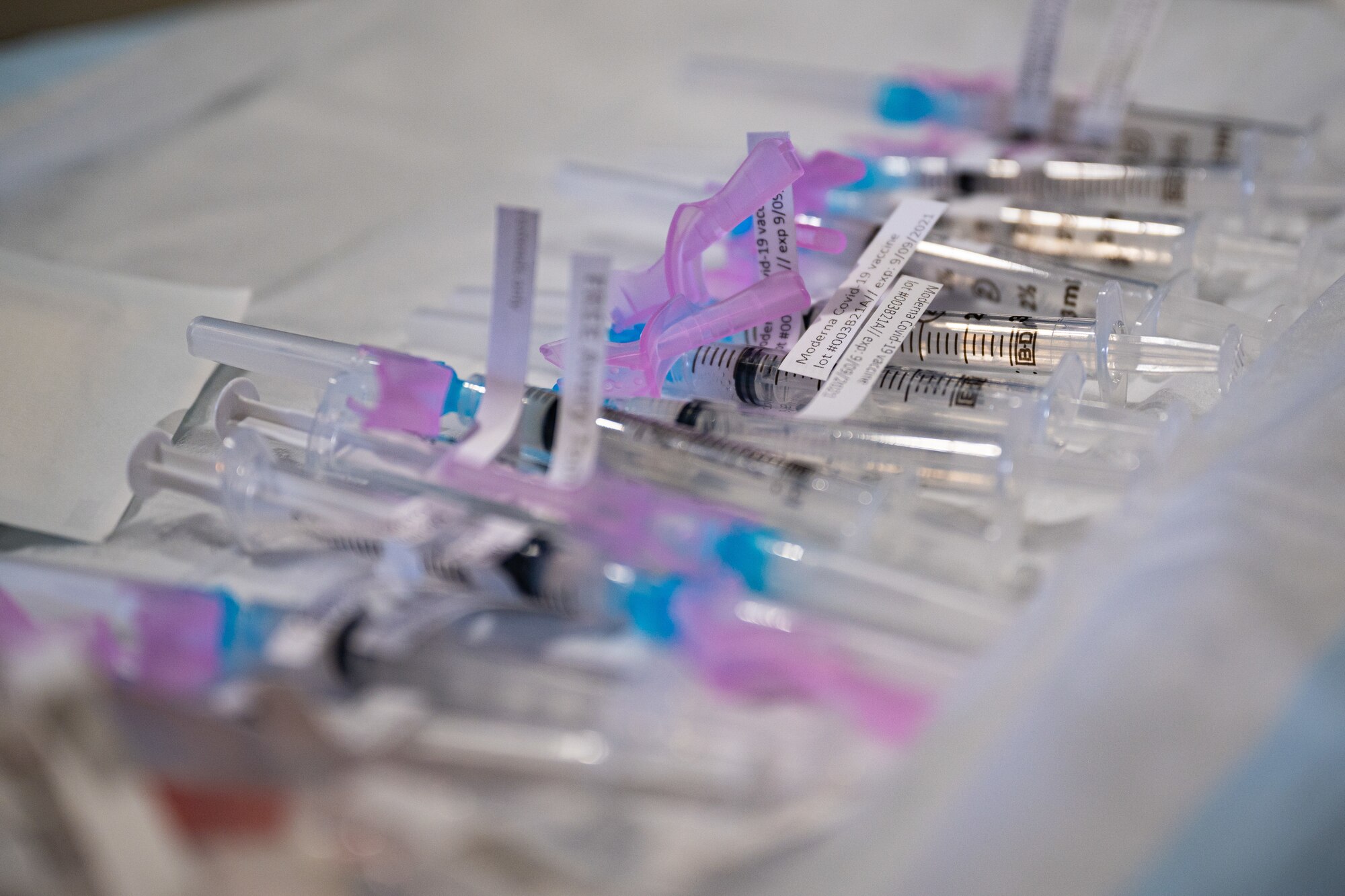Prepared medical syringes organized on a white tray.