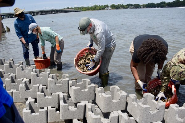 Oyster castle installation event at the Lafayette River Annex on July 16 and 17.