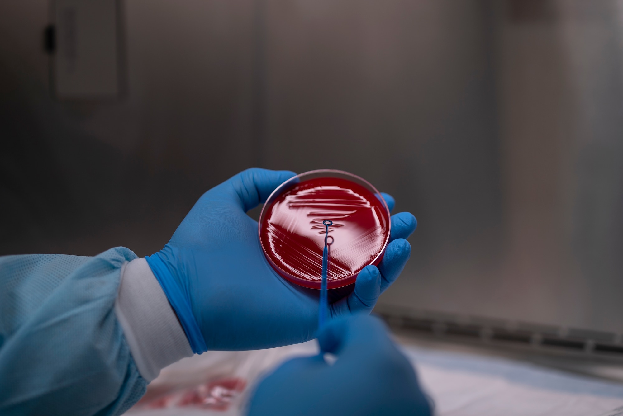 Tech. Sgt. Reginald Malone, laboratory services non-commissioned officer in charge assigned to the 27th Special Operations Healthcare Operations Squadron marks lines on a virus testing agar plate before plating the virus swab itself at Cannon Air Force Base, N.M., April 12, 2021. Cannon's lab techs' abilities to plate and test their own virus samples greatly reduces the wait time for results, allowing the rest of the base to continue the mission without worry. (U.S. Air Force photo by Airman 1st Class Christopher Storer)