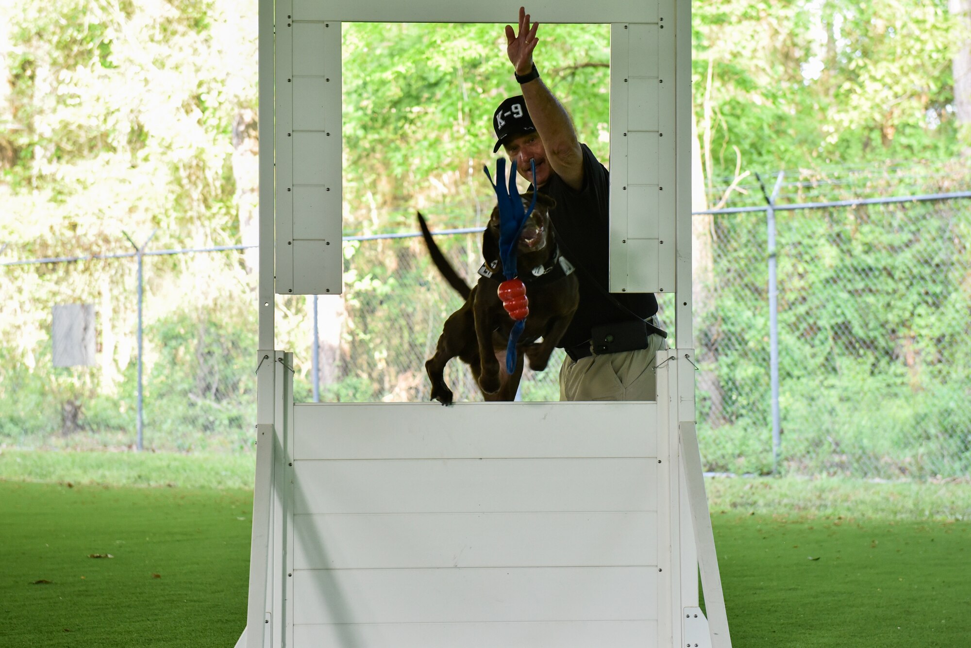 Dave Jamieson, Department of Homeland Security transportation security specialist, trains Hazel, Transportation Security Administration explosives detection canine, to jump through an obstacle during a joint interagency training day at Seymour Johnson Air Force Base, North Carolina, April 20, 2021. The team, Jamieson and Hazel, are responsible for the safety of the traveling public. (U.S. Air Force photo by Staff Sgt. Kenneth Boyton)