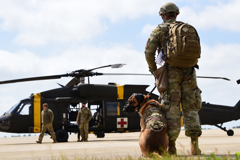 Senior Airman Austin West, 8th Security Forces Squadron military working dog handler, and MWD Bonus, wait their turn for familiarization training during a joint medical evacuation training event at Kunsan Air Base, Republic of Korea, April 13, 2021. The handlers gradually exposed the MWDs to the helicopters to familiarize them with the noises and vibrations to reduce their anxiety while flying. (U.S. Air Force photo by Senior Airman Suzie Plotnikov)