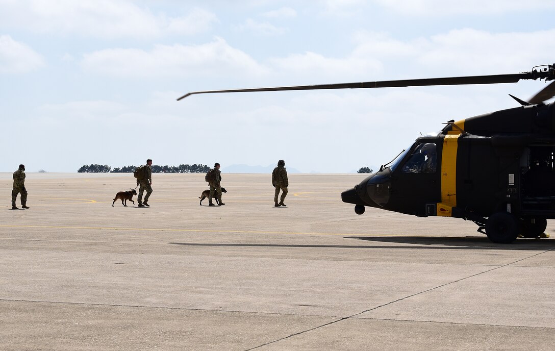 U.S. Army Soldiers from Camp Humphreys, Republic of Korea, assist 8th Security Forces Squadron military working dog teams into an HH-60M Black Hawk helicopter during a joint medevac training event at Kunsan Air Base, Republic of Korea, April 13, 2021. The handlers gradually exposed the MWDs to the helicopters to familiarize them with the noises and vibrations to reduce their anxiety while flying. (U.S. Air Force photo by Senior Airman Suzie Plotnikov)