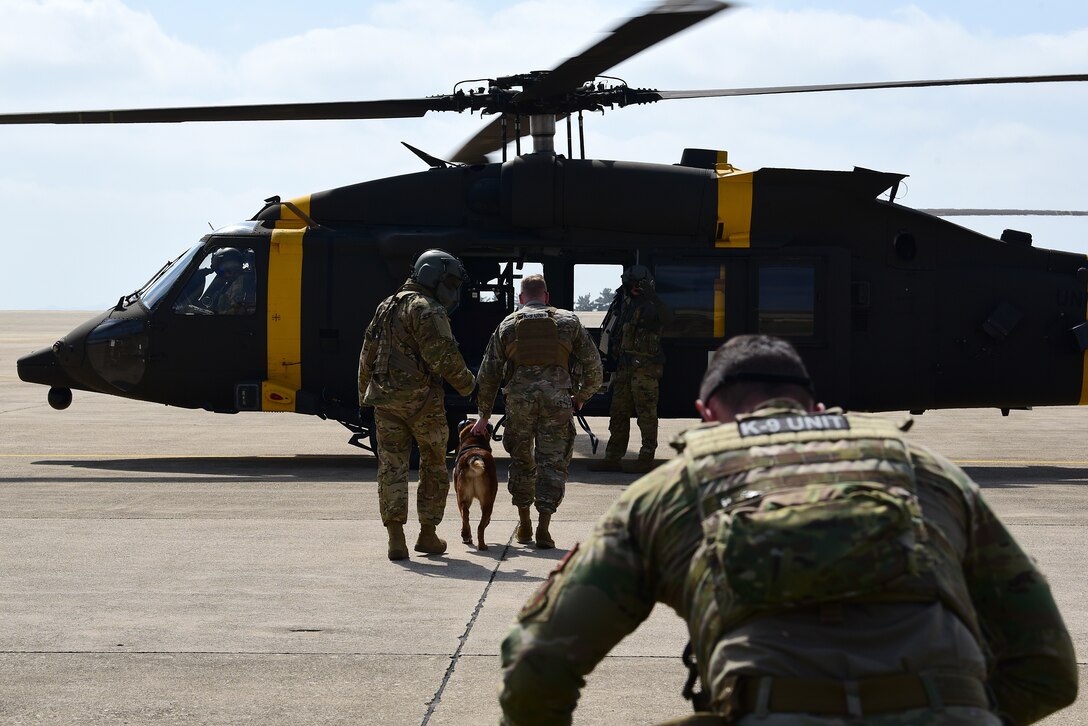 U.S. Army Soldiers from Camp Humphreys, Republic of Korea, escort 8th Security Forces Squadron military working dog teams to an HH-60M Black Hawk helicopter during a joint medevac training event at Kunsan Air Base, Republic of Korea, April 13, 2021. The handlers gradually exposed the MWDs to the helicopters to familiarize them with the noises and vibrations to reduce their anxiety while flying. (U.S. Air Force photo by Senior Airman Suzie Plotnikov)