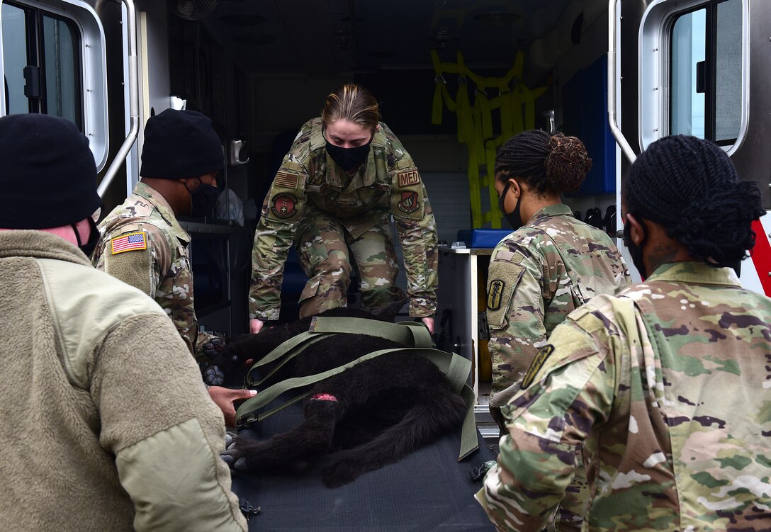 U.S. Army veterinary staff, 106 Medical Detachment, Camp Humphreys, Republic of Korea, and U.S. Air Force Senior Airman Ashley Ripka, 8th Healthcare Operations Squadron, center, load a canine training manikin inside an ambulance during a joint medical evacuation training event at Kunsan Air Base, Republic of Korea, April 13, 2021. Military working dog teams from the 8th Security Forces Squadron participated in a joint medevac training exercise with the units from Camp Humphreys to observe and calculate the steps needed to properly execute a medevac for MWDs and their handlers, as well as reevaluate and develop processes for continuity and quick action responses in these kinds of scenarios. (U.S. Air Force photo by Senior Airman Suzie Plotnikov)