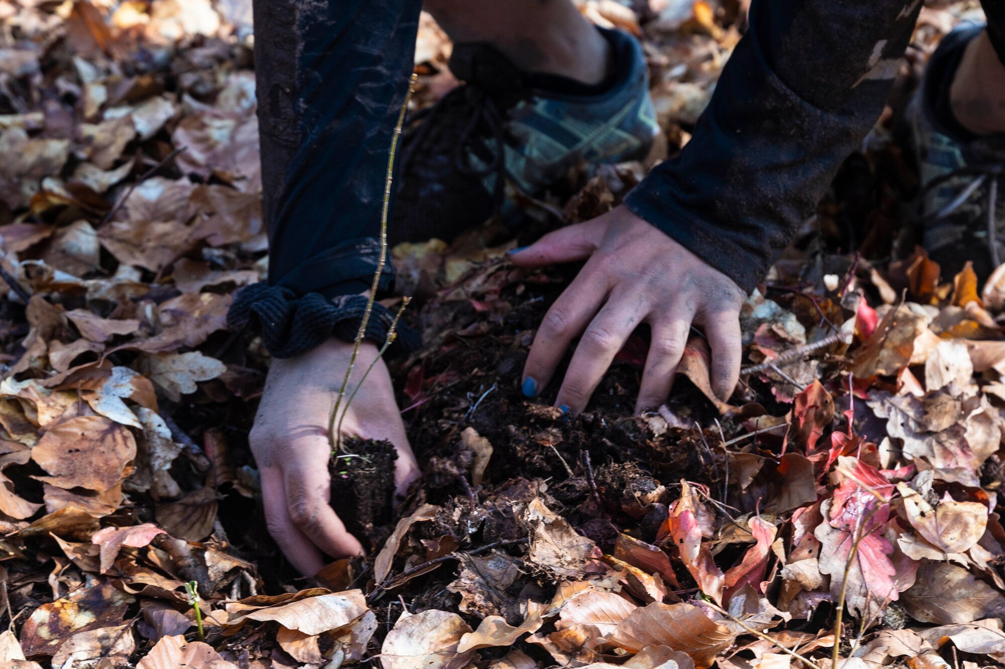 U.S. Air Force Staff Sgt. Jaden Krolikowski, 86th Security Forces Squadron member, plants an oak tree during Earth Day at Ramstein Air Base