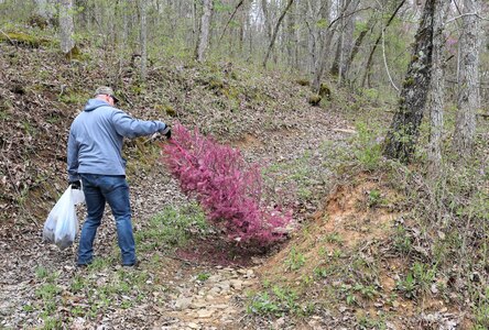 men and women gathering garbage and debris in the woods.