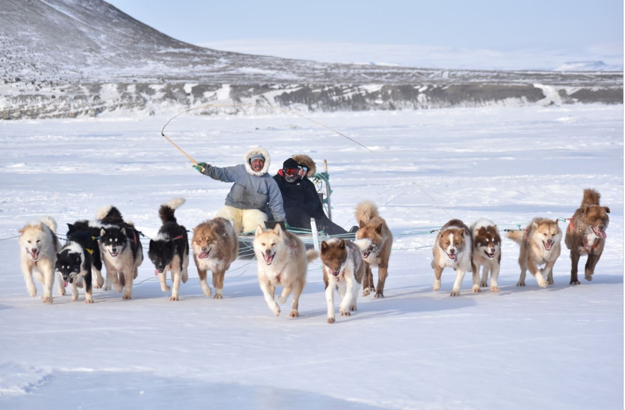 Marcus Hansen, sled driver,  leads the dogsled rides during Greenlandic Heritage Week at North Star Bay, near Thule Air Base, Greenland, April 4, 2021. Despite two major storms, the base hosted its annual dog sled race, which awarded the top three winners with a rifle, sled tent and a generator, respectively. Thule AB is located on the northwest coast of Greenland, 700 miles north of the Arctic Circle and approximately 946 miles from the North Pole. It operates the Department of Defense's northernmost deep-water seaport as well as a 10,000-foot runway and associated airfield. (U.S. Space Force photo by Lt. Col. Christopher Ivarone)