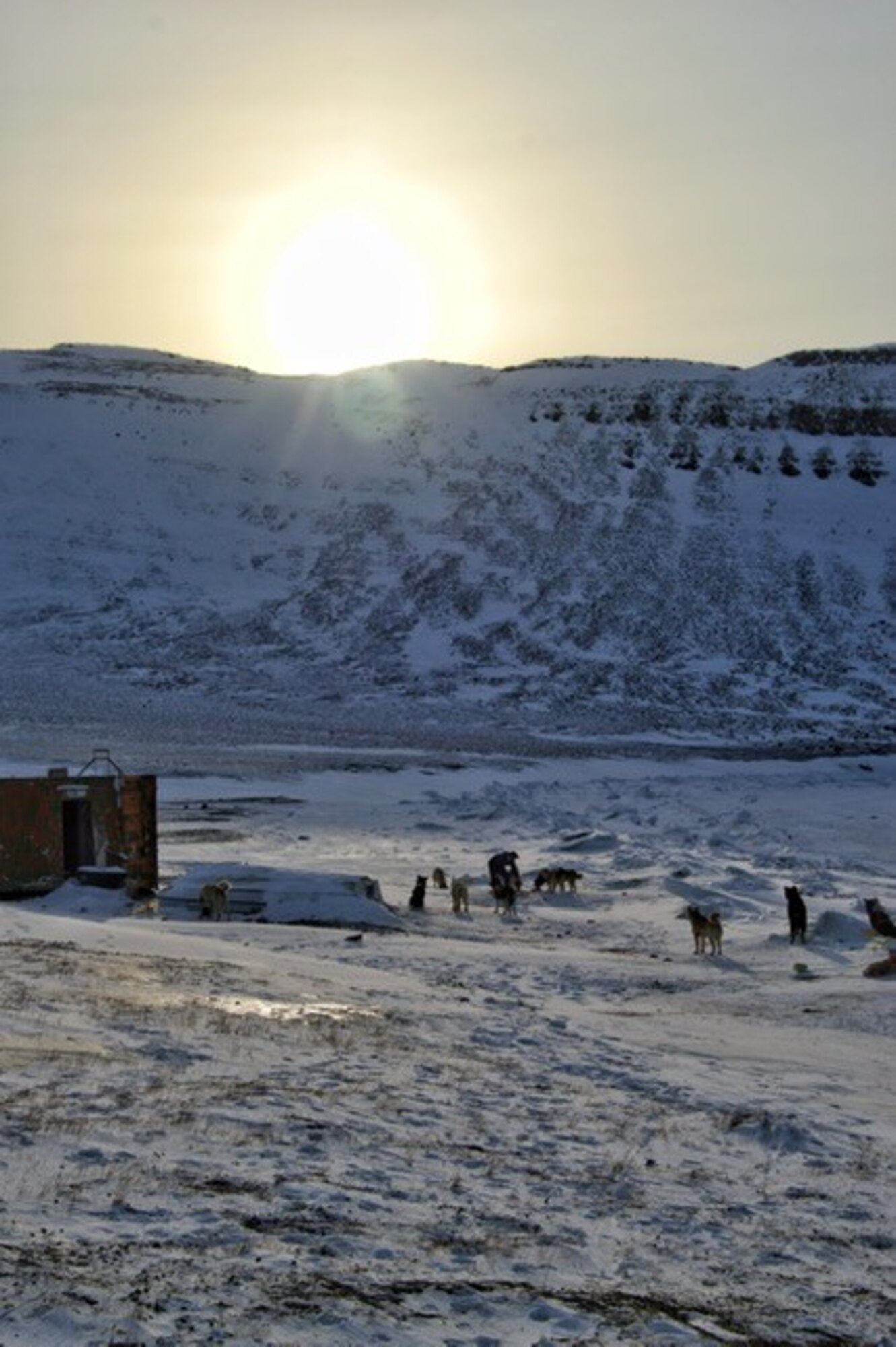 The sun peeks over a mountain onto Dundas village as one of the Greenlandic visitors during Greenlandic Heritage Week feeds his team of dogs at Thule Air Base, Greenland, March 29, 2021. Greenlandic Heritage Week is a multi-national annual event offered completely free to local villagers with support from the Danish Officer Liaison, Danish Police Inspector, Vectrus Services Corporation and 821st Air Base Group. Thule AB is located 750 miles north of the Arctic Circle, where it provides an important view of the northern hemisphere in order to defend our nation’s critical infrastructure, and maintain the safe and responsible use of space. (U.S. Space Force Photo by Master Sgt. Trevor Derr)