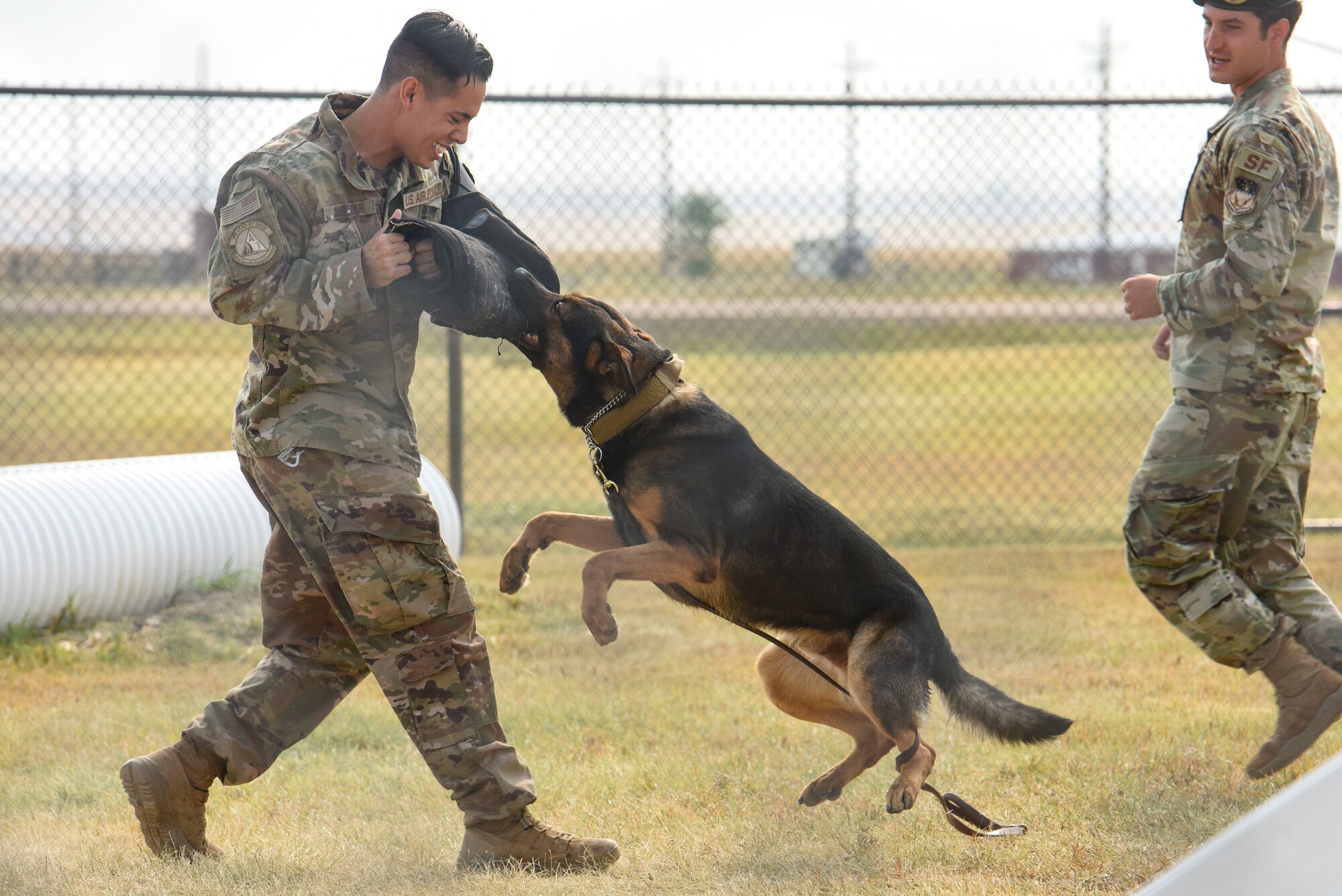 Senior Airman Dustin Sullivan, left, 341st Security Forces Squadron MWD handler, Staff Sgt. Zachary Seroogy, 341st SFS MWD handler, and MWD Paul, practice bite training Aug. 20, 2020, at Malmstrom Air Force Base, Mont.