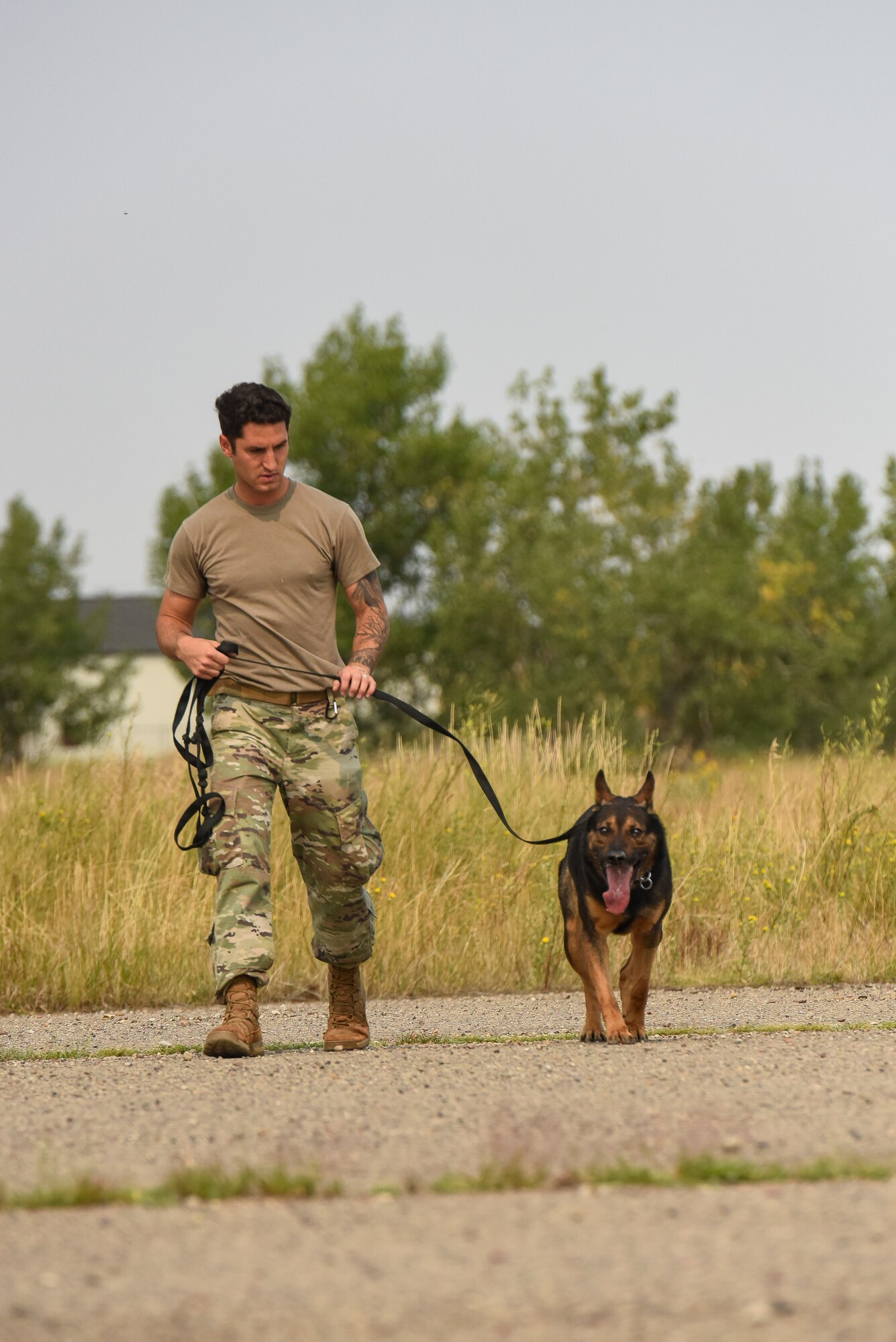 Staff Sgt. Zachary Seroogy, 341st Security Forces Squadron MWD handler, and MWD Paul, perform detection training Aug. 20, 2020, at Malmstrom Air Force Base, Mont.