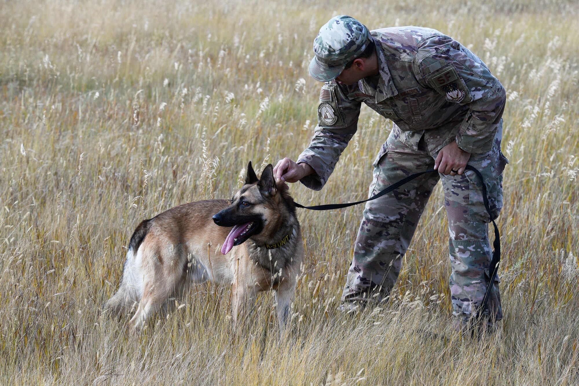 Staff Sgt. Vincent Mendez, 341st Security Forces Squadron MWD handler, and MWD Kay, perform sound detection training Aug. 26, 2020, at Malmstrom Air Force Base, Mont.