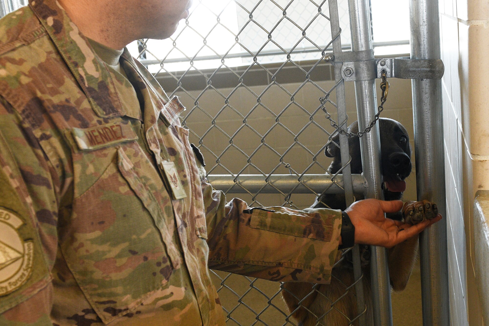 Staff Sgt. Vincent Mendez, 341st Security Forces Squadron MWD handler, and MWD Bond, embrace each other Aug. 26, 2020, at Malmstrom Air Force Base, Mont.