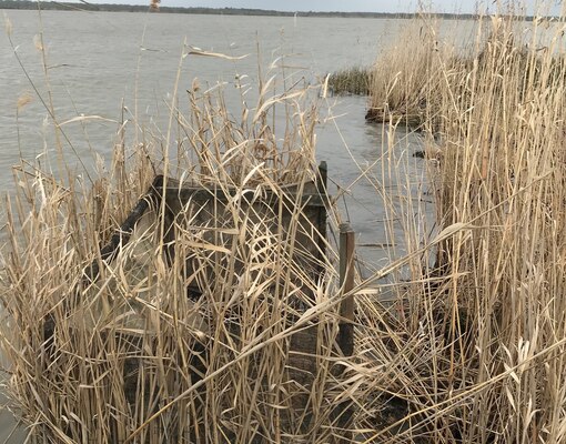 The U.S. Army Corps of Engineers Galveston District, Wallisville Lake Project, Waterfowl Management Program is accepting seasonal duck blind drawing submissions by mail from May 1 to June 30, 2021, for the upcoming 2021/2022 waterfowl hunting season.

A total of 50 seasonal duck blind construction permits will be offered along with 20 standby positions for this upcoming season.