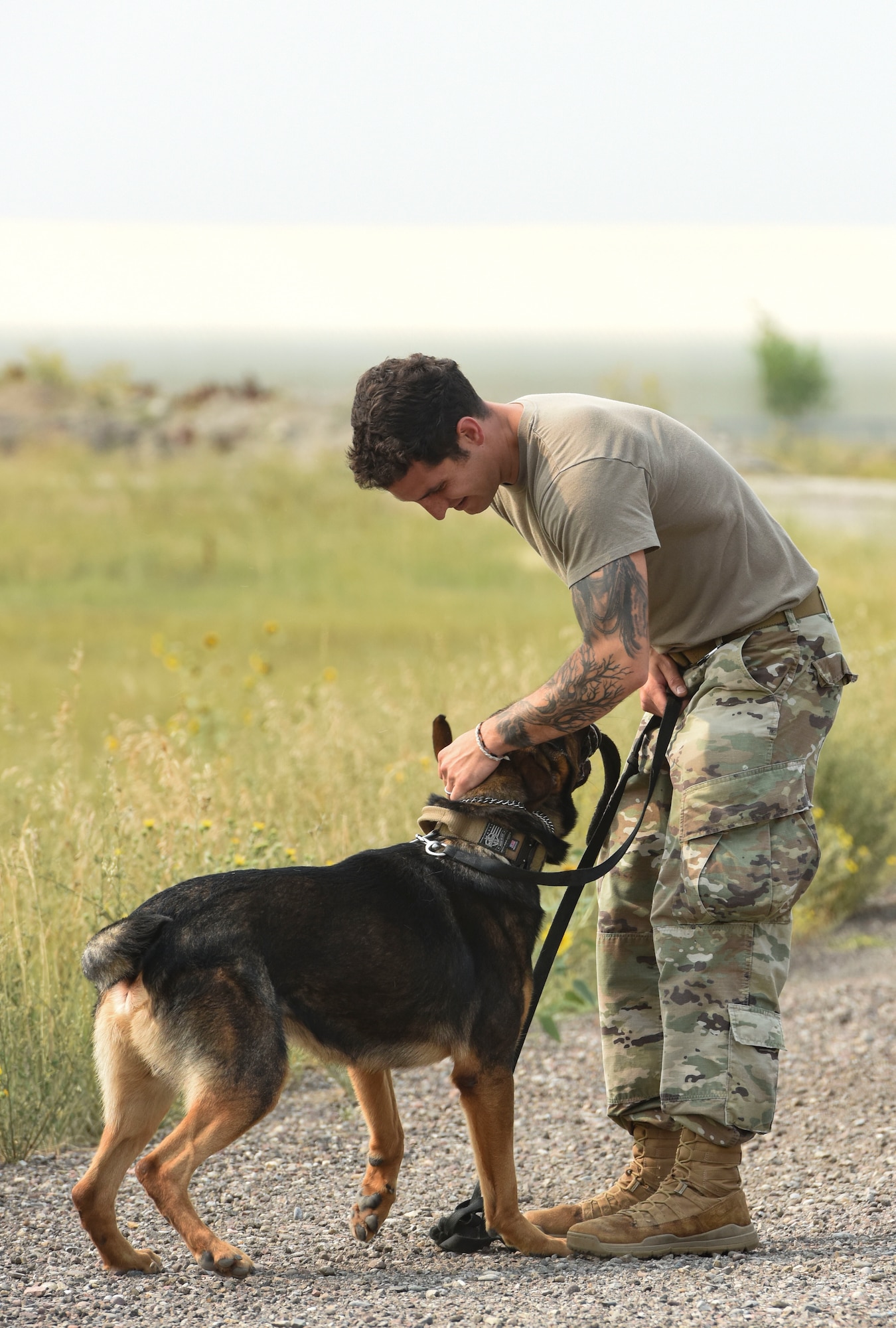 Staff Sgt. Zachary Seroogy, 341st Security Forces Squadron MWD handler, and MWD Paul, perform detection training Aug. 20, 2020, at Malmstrom Air Force Base, Mont.