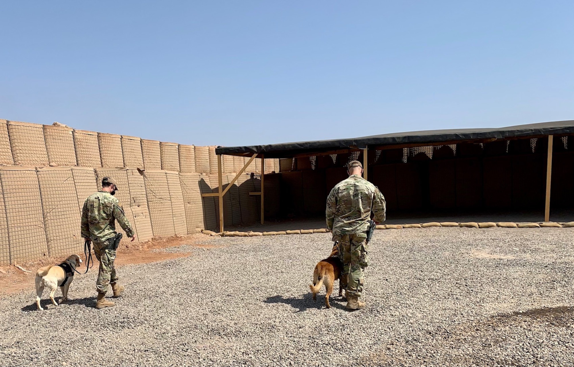 U.S. Air Force Staff Sergeants Dakota Farrow and Patrick Saddoris, 726th Expeditionary Air Base squadron military working dog handlers, walk with their K-9, MWDs Max and Benny at Camp Chabelley, Djibouti, April 15, 2021. Some of the practices that the working dogs at Chabelley conduct include vehicle searches, building searches, open area searches, and scent detection. (Courtesy photo by Maj. Tim O’Rouke)