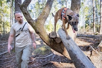 Tim Rice, Shop 17 Sheet Metal mechanic, with Puget Sound Naval Shipyard & Intermediate Maintenance Facility, in Bremerton, Washington, works with his dog Kimber, a two-year-old Belgian Malinois, at South Kitsap Regional Park in Port Orchard, Washington, March 20, 2020. Rice and Kimber train daily for their work with Kitsap County Search & Rescue. (PSNS & IMF photo by Scott Hansen)