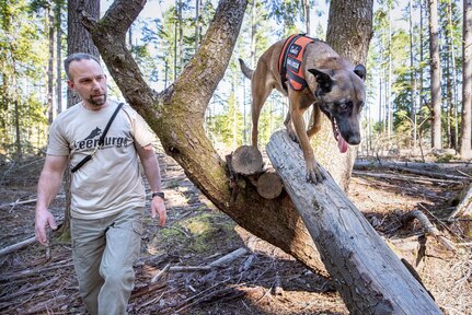 Tim Rice, Shop 17 Sheet Metal mechanic, with Puget Sound Naval Shipyard & Intermediate Maintenance Facility, in Bremerton, Washington, works with his dog Kimber, a two-year-old Belgian Malinois, at South Kitsap Regional Park in Port Orchard, Washington, March 20, 2020. Rice and Kimber train daily for their work with Kitsap County Search & Rescue. (PSNS & IMF photo by Scott Hansen)