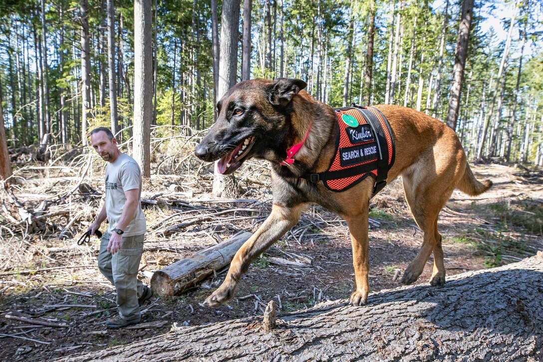 Tim Rice, Shop 17 Sheet Metal mechanic, at Puget Sound Naval Shipyard & Intermediate Maintenance Facility, in Bremerton, Washington, works with his dog Kimber, a two-year-old Belgian Malinois, at South Kitsap Regional Park in Port Orchard, Washington, March 20, 2021. Rice and Kimber train daily for their work with Kitsap County Search & Rescue. (PSNS & IMF photo by Scott Hansen)