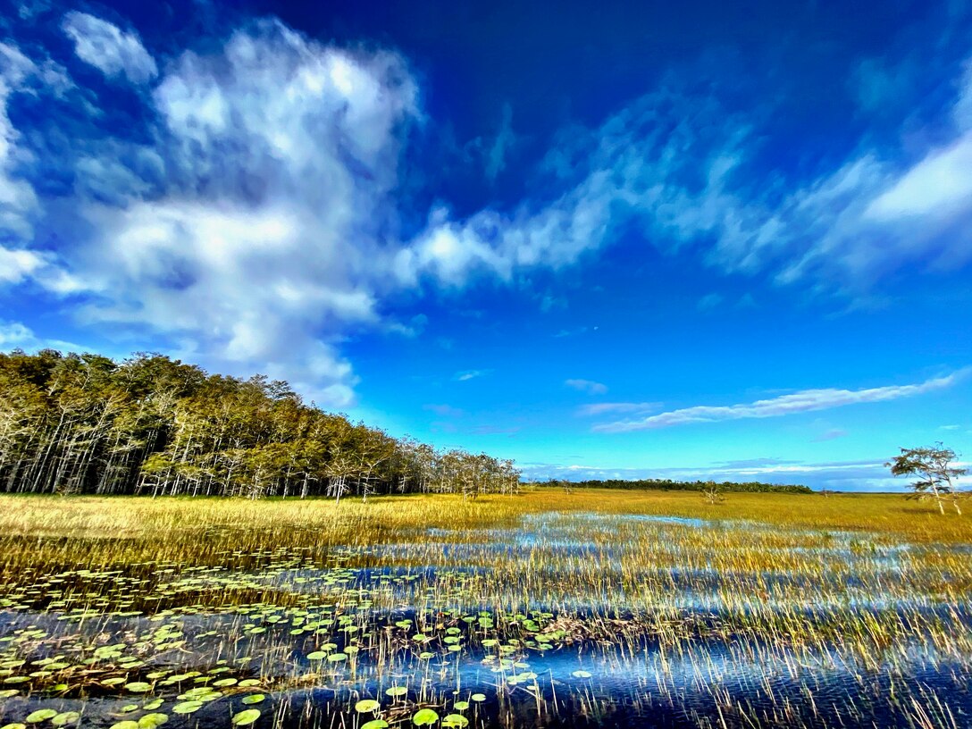 Photo of Everglades Landscape in Water Conservation Area 3A