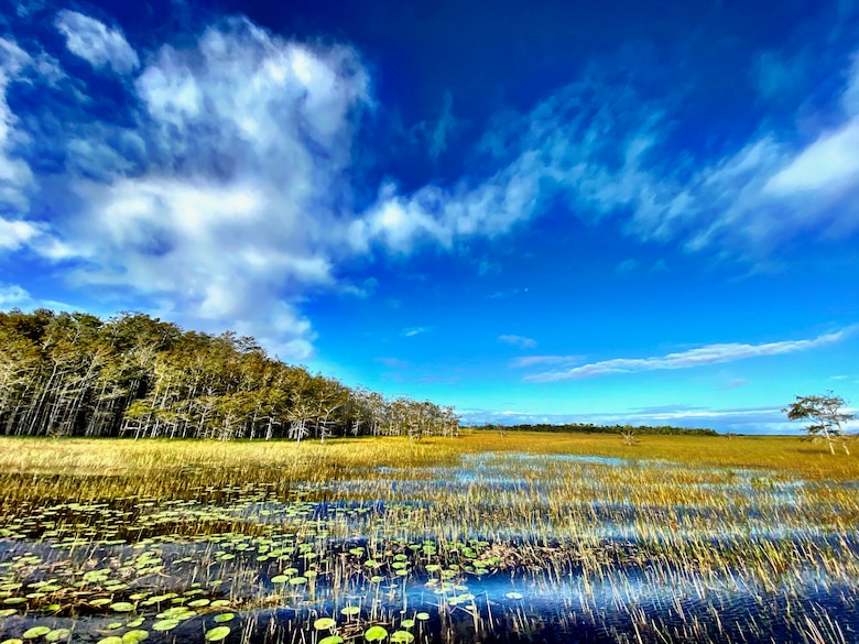 Photo of Everglades Landscape in Water Conservation Area 3A