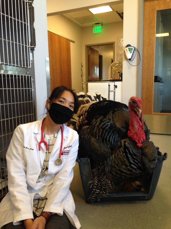 For Capt. Christine Bui, another day at the office, with the Broomfield Veterinary Hospital in Broomfield, Colo., isn’t what most of us, including other veterinarians can relate to. “I love the fact that my civilian education and experience can bring a whole new niche of veterinary medicine to the US Army. I thank everyone who has shaped me into the veterinarian that I am today and for the invaluable experiences I've had as a volunteer throughout my journey in becoming a veterinarian,” said Bui.