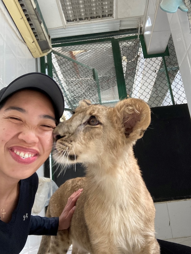 Nothing brings a smile to your face like snuggling with a lion cub. “I have a unique background in that I specialize in zoo/exotic medicine. Prior to deciding to become a veterinarian, I was a zoo keeper. All of my veterinary experience prior to and after completing veterinary school was treating and caring for a traditional zoo collection,” said Capt. Christine Bui, a Veterinarian with the Army Reserve.