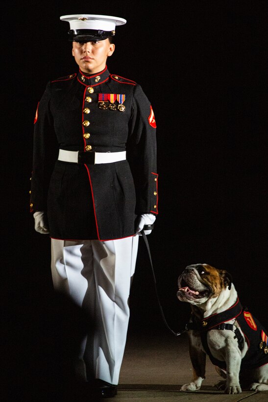 Lance Cpl. Rebekah Macias, mascot handler, Marine Barracks Washington, stands on Center Walk with the official Marine Corps mascot, Lance Cpl. Chesty XV, during the Friday Evening Parade at MBW, July 30, 2021.