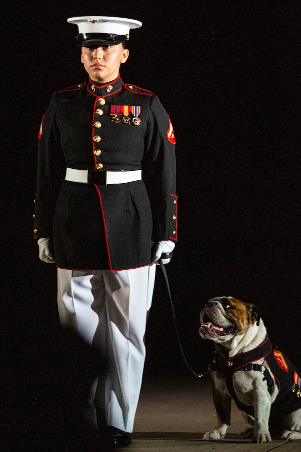 Lance Cpl. Rebekah Macias, mascot handler, Marine Barracks Washington, stands on Center Walk with the official Marine Corps mascot, Lance Cpl. Chesty XV, during the Friday Evening Parade at MBW, July 30, 2021. The guest of honor for the evening was The Honorable Kathleen H. Hicks, 35th Deputy Secretary of Defense, and the hosting official was Gen. David H. Berger, 38th Commandant of the Marine Corps. (U.S. Marine Corps photo by Lance Cpl. Tanner D. Lambert)