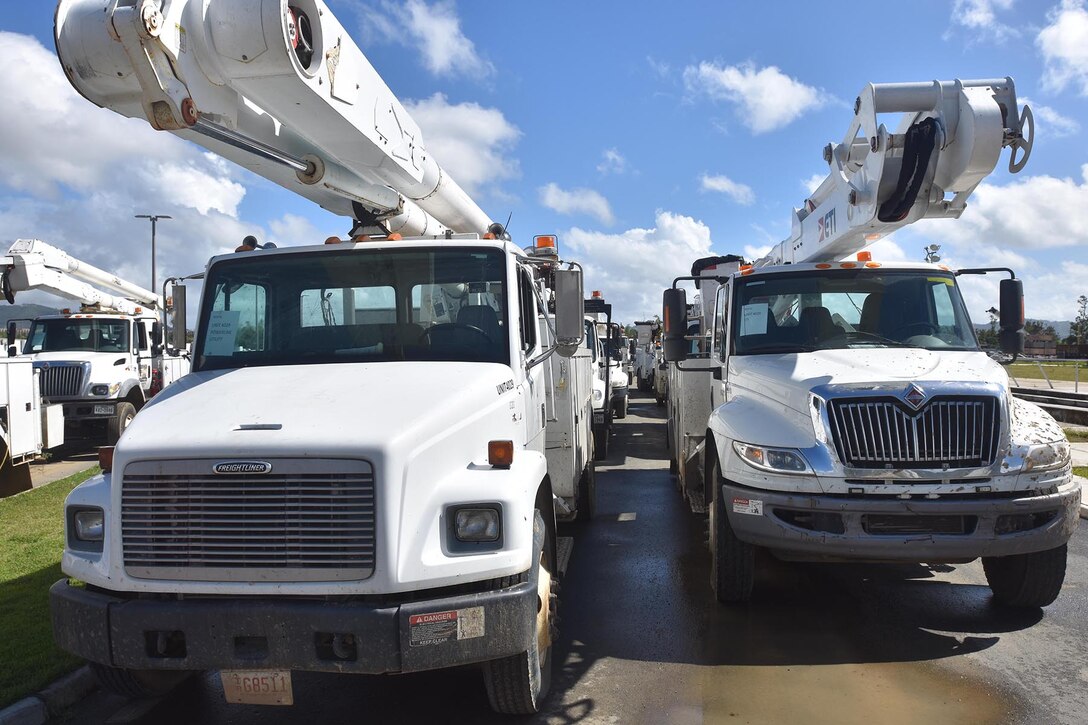 A fleet of electric work trucks sit in a parking area.