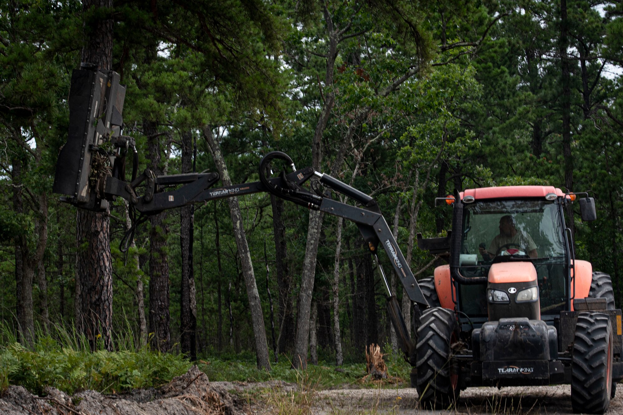 Photo of range support personnel clearing trees during fire break maintenance.