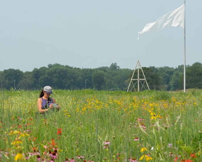 Valerie Kosheleff uses her phone to take a picture of a hummingbird July 19 among the wildflowers on Wright-Patterson Air Force Base’s Huffman Prairie. The flag in thebackground marks the edge of Huffman Prairie Flying Field, where the Wright brothers learned how to fly.