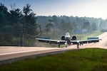 An A-10 Thunderbolt II from Selfridge Air National Guard Base, Michigan, lands on a public highway in Alpena, Michigan, Aug. 5, 2021. The highway landing was a part of Exercise Northern Strike 21-2.