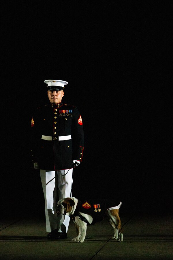 Corporal Elijah Chandler, mascot handler, stands at the position of attention with LCpl. Chesty XV, official mascot, during a Friday Evening Parade at Marine Barracks Washington, Aug. 6, 2021. The guests of honor for the evening were Chief Warrant Officer 4 Hershel W. “Woody” Williams, World War II Medal of Honor Recipient, Col. Harvey C. “Barney” Barnum, Vietnam War Medal of Honor Recipient, and Cpl. William K. “Kyle” Carpenter, Global War on Terrorism (Afghanistan) Medal of Honor Recipient, and the hosting officials were the 38th Commandant of the Marine Corps, Gen. David H. Berger, and the 19th Sergeant Major of the Marine Corps, Sgt. Maj. Troy E. Black. (U.S. Marine Corps photo by Lance Cpl. Allen Sanders)